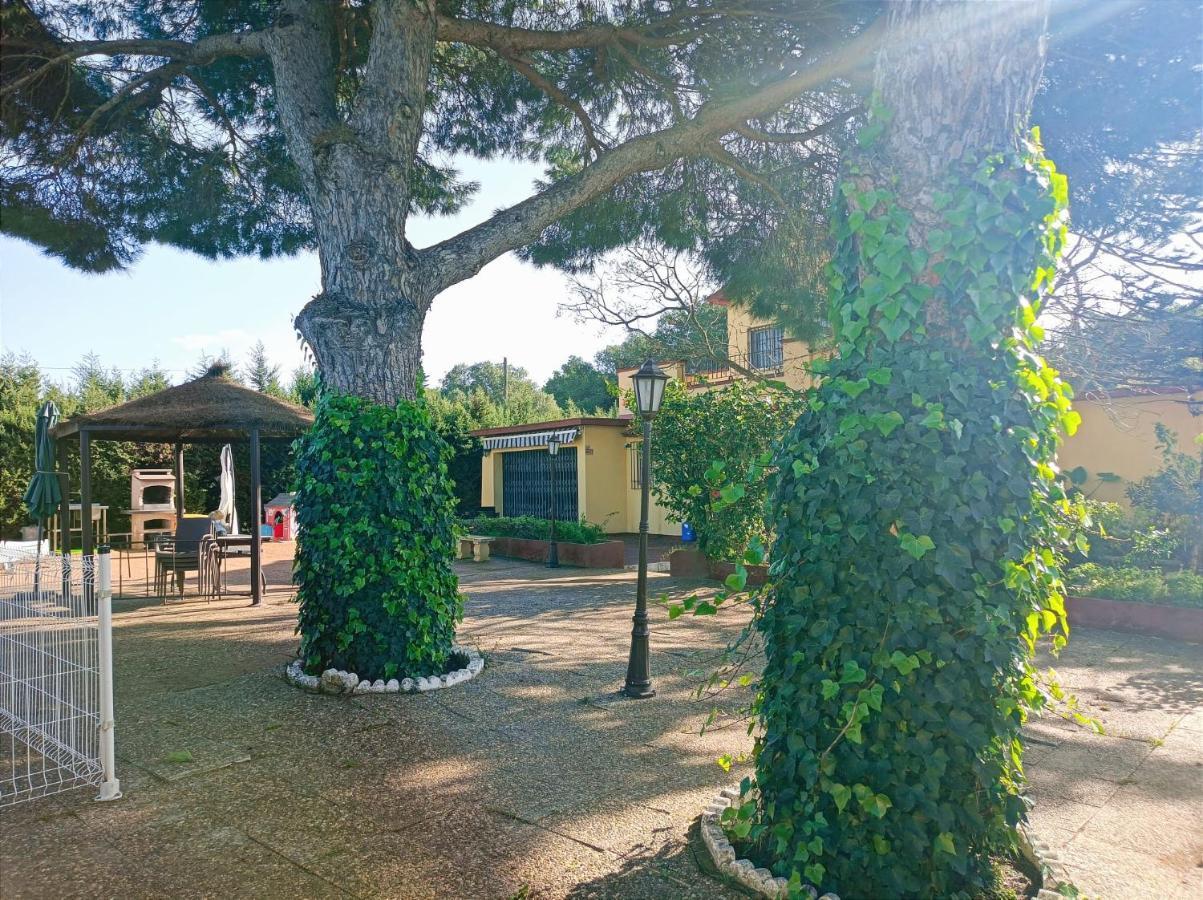 فيلا Casa Con Piscina Privada Y Barbacoa En Chiclana Capacidad Hasta 10 Personas شيكلانا دي لا فرونتيرا المظهر الخارجي الصورة